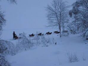 Sports d’hiver
