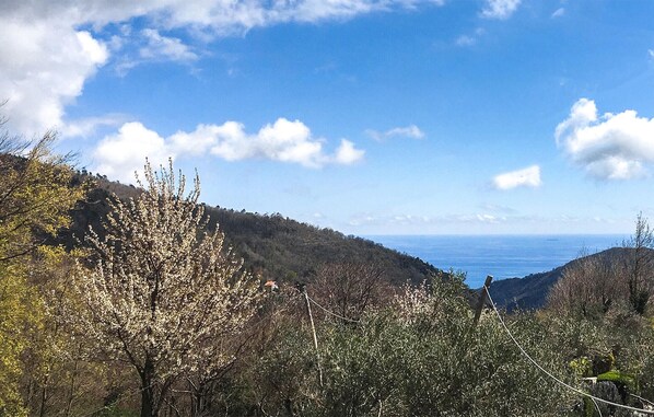 view-from-room