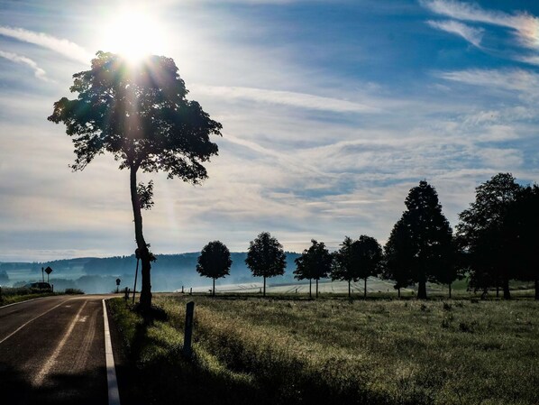 Ciel, Propriété, Plante, Arbre, Bâtiment, Lot Terre, Pente, Ombre, Asphalte, Bois