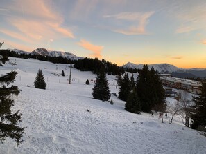 Views