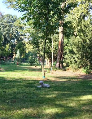 Boendeområde