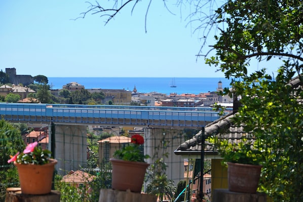 View from property