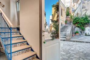 Autumn, Main Entrance, Spring, Summer, Winter