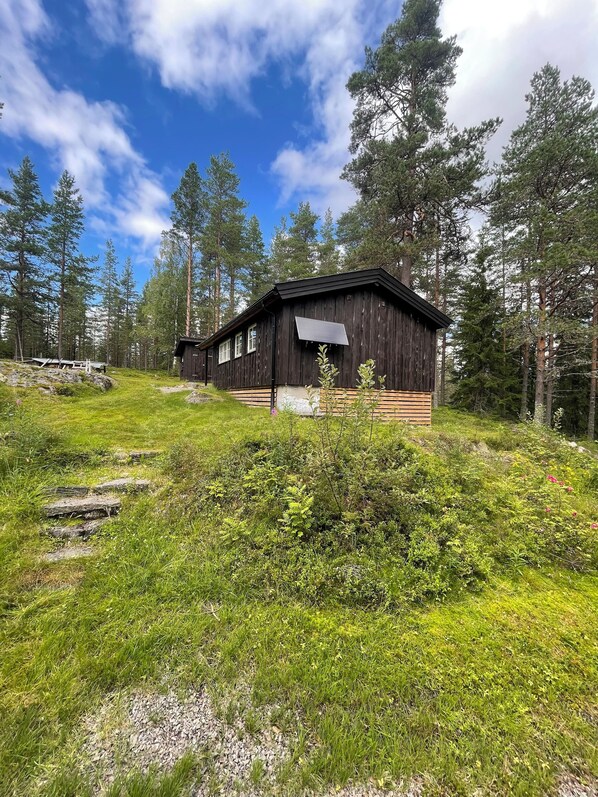 Exteriör