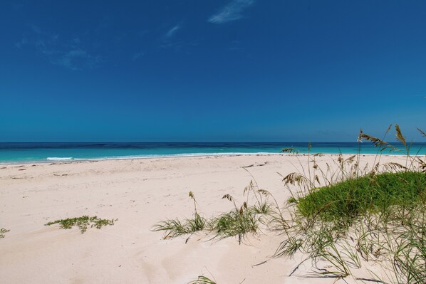 Our spectacular beach!