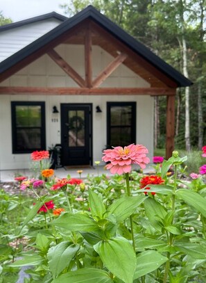 Cottage in the Summer