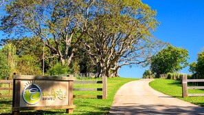 Your road to our door step