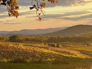 Late afternoon sun and light over fields below