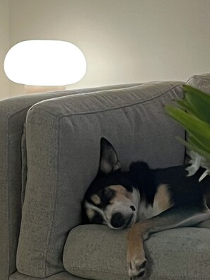 Interiör