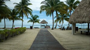 Castaway Villa - 4 Bedroom Beachfront Villa (4206)