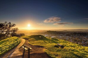 Enjoy the view of Maungawhau Mt Eden