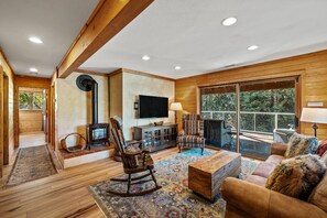 Lower level TV room, with stove. Perfect for movies and cozying up after a long day out.
