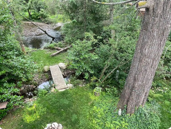 Bird House view of the river and creek