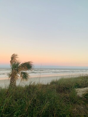 Playa