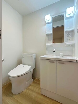 Toilet and Vanity Area