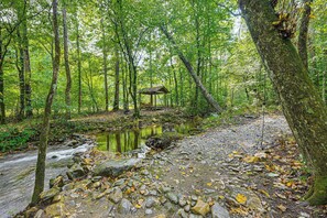 On-Site Stream | Fishing