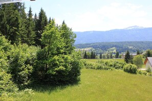 Immediate Surroundings [summer] (&lt;1 km)