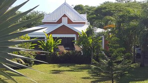 Front view