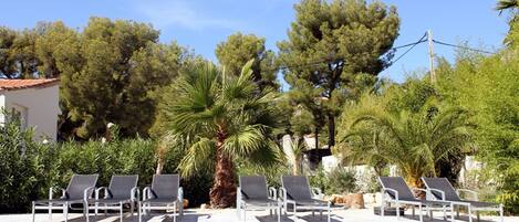 IMG_1536 - copie