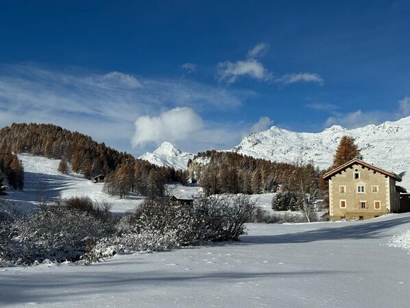 View from the house at the onset of winter