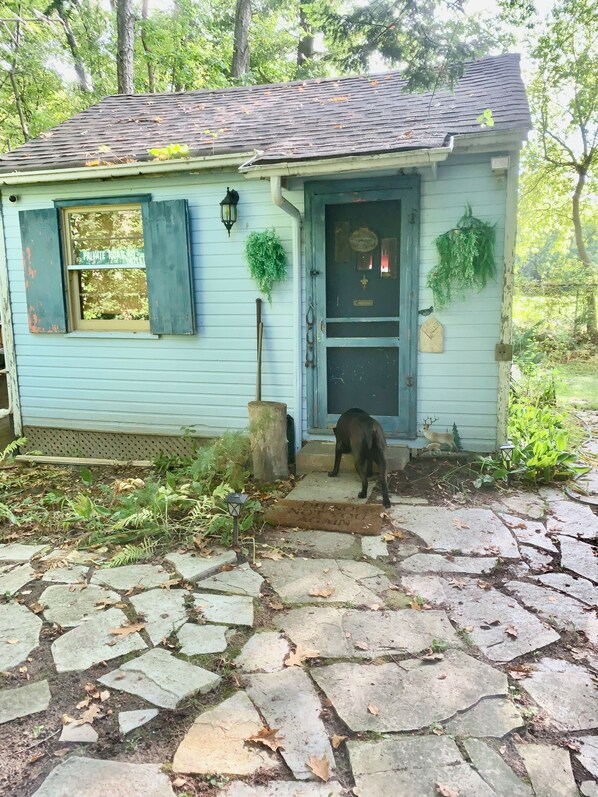 Welcome to this cosy Cabin
located at the end of the road
In a forest.
