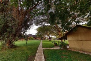 Property grounds