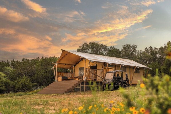 Meadow Tent
