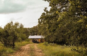 Evergreen Tent from the path