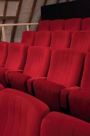 Salle de cinéma, conférence ou concert (1)