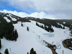 Sne- og skisport