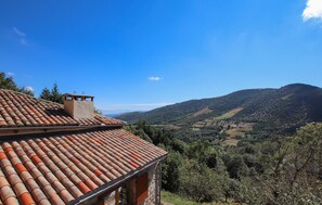 view-from-room