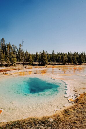 Yellowstone National Park is just a few minutes away! Enjoy a day in the park and then come back to the quiet of Island Park and this cozy cabin. 