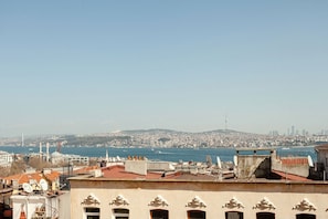 Vista desde la propiedad