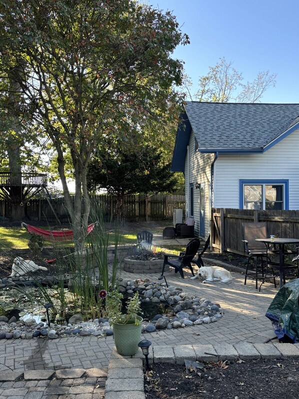 Patio/Backyard