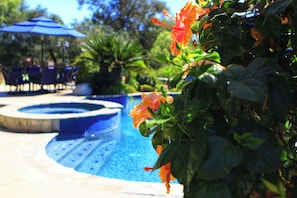 Lots of beautiful flowers on the property make for a tropical, relaxing vibe.