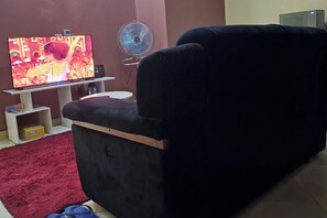 Cosy living room with an android TV which has Netflix, and also fast Wifi and a 2 seat sofa.