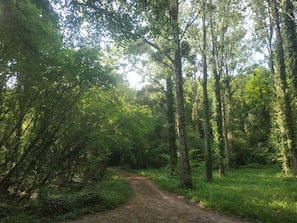 Accès à la forêt à 300 mètres