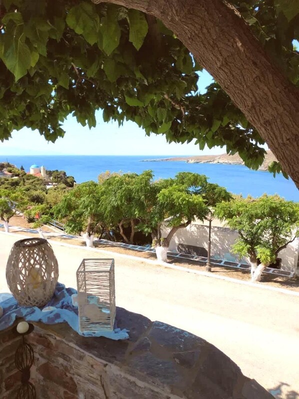 Seaview from the property - Panoramic Views
