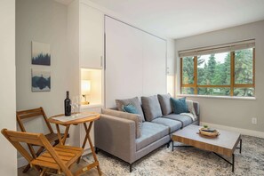 Large self contained studio with King sized Murphy bed