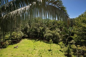 Tropical 3BR Casa Cayena, Private Pool, Wi-Fi & AC (1721)