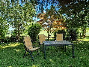 Plant, Table, Furniture, Tree, Natural Landscape, Chair, Shade, Branch, Outdoor Furniture, Outdoor Table