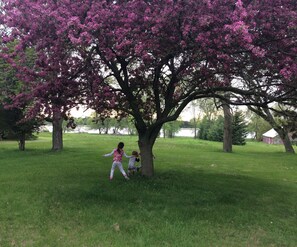 You might want to play in the shade of the hawthorne tree in the summer.