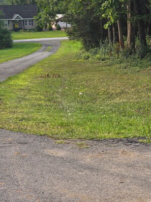 Boendeområde