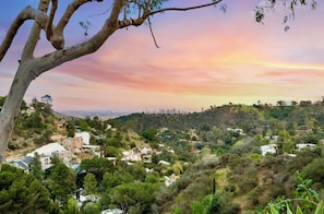 HOLLYWOOD HILLS: SERENE/SAFE/CENTRAL+5 MINS to HOLLYWOOD (Pic from Hiking trail)