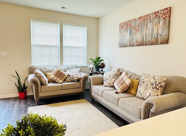 2 sofa couches with smart TV