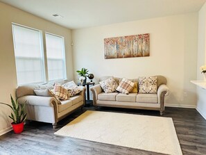 2 couches sofa in Living Room