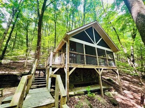 The Perfect Treehouse in the Mountains