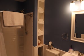 Joe Ridge Retreat Jungle Boogie Bathroom wLight