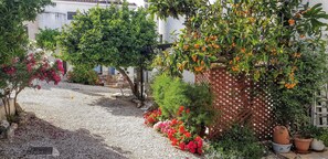 Enter through the tranquil courtyard, filled with colorful flowers and 