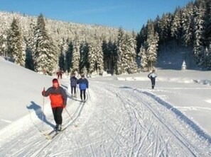 Skidåkning och snöaktiviteter